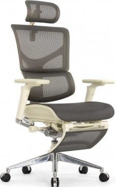 Expert-2 Sail Legrest